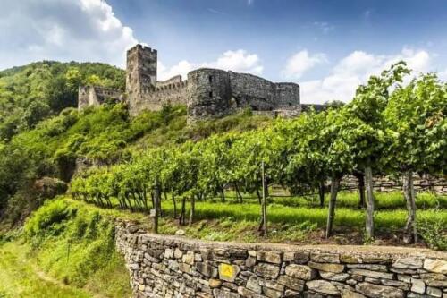 Spitz-Ruine-Hinterhaus